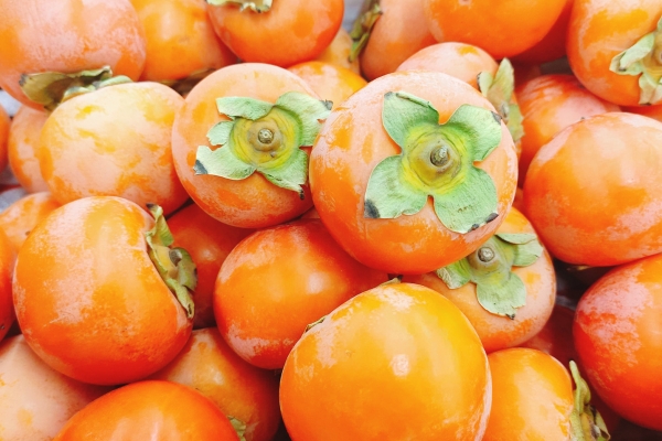 橘子和柿子可以一起吃吗 柿子的禁忌和作用