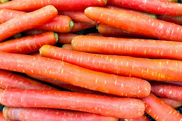 胡萝卜可以减肥吗