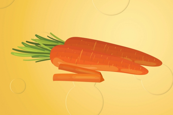 胡萝卜炖羊肉的功效与作用