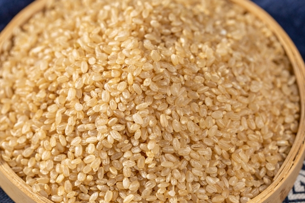 糙米为什么可以减肥