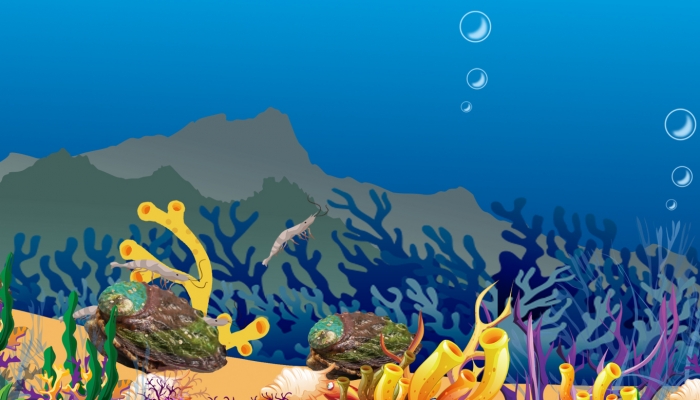 珊瑚礁生态系统的特点 珊瑚礁是怎么形成的