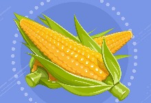 玉米蒸多久能熟