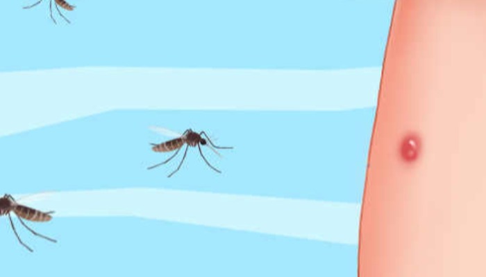 2022全国五一露营防蚊天气地图 五一露营哪里的蚊子最多