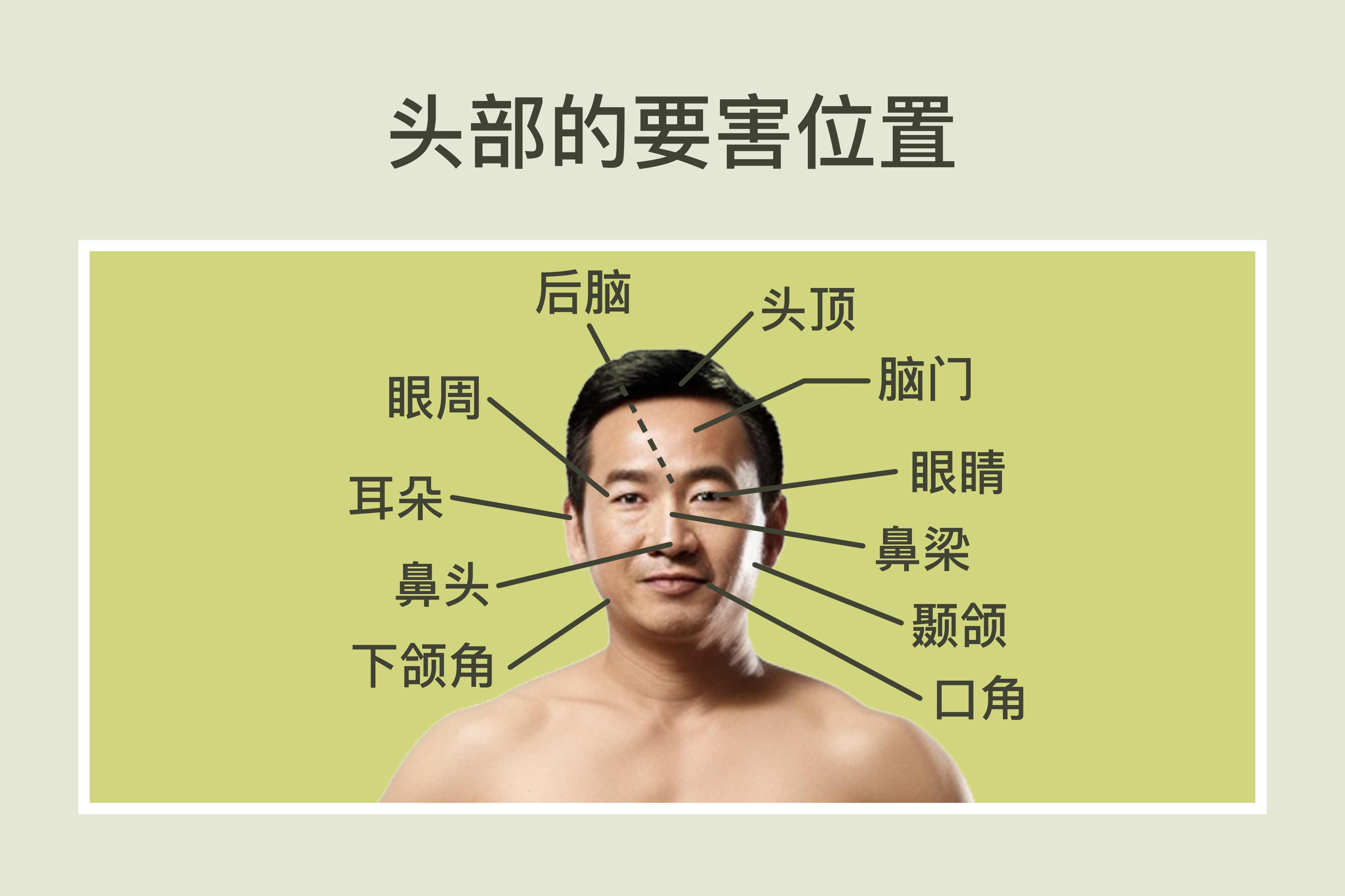 头部发型分区说明图_上海柯模思化妆学校