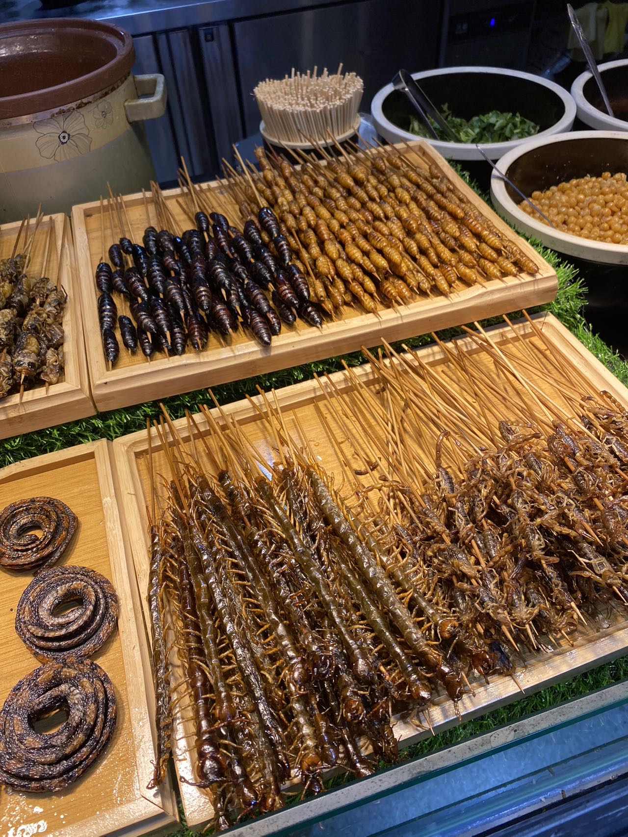 Insect Banquet | Colorful Yunnan