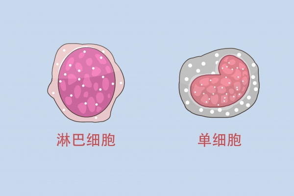 淋巴细胞百份比高_淋巴细胞百分比高一些_淋巴细胞百分比偏高